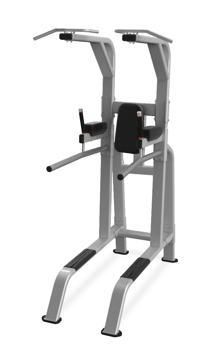 Nautilus Pull Up / Dip / Leg Raise